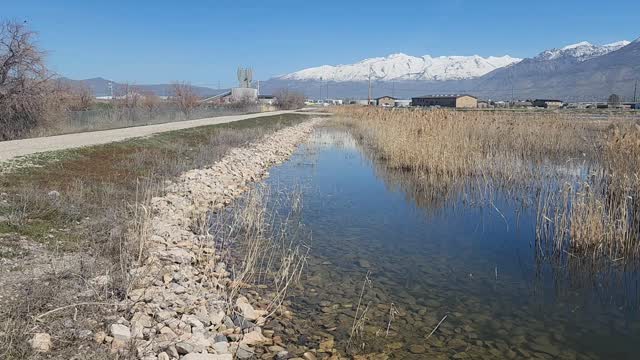 Experimental Ponds in spring