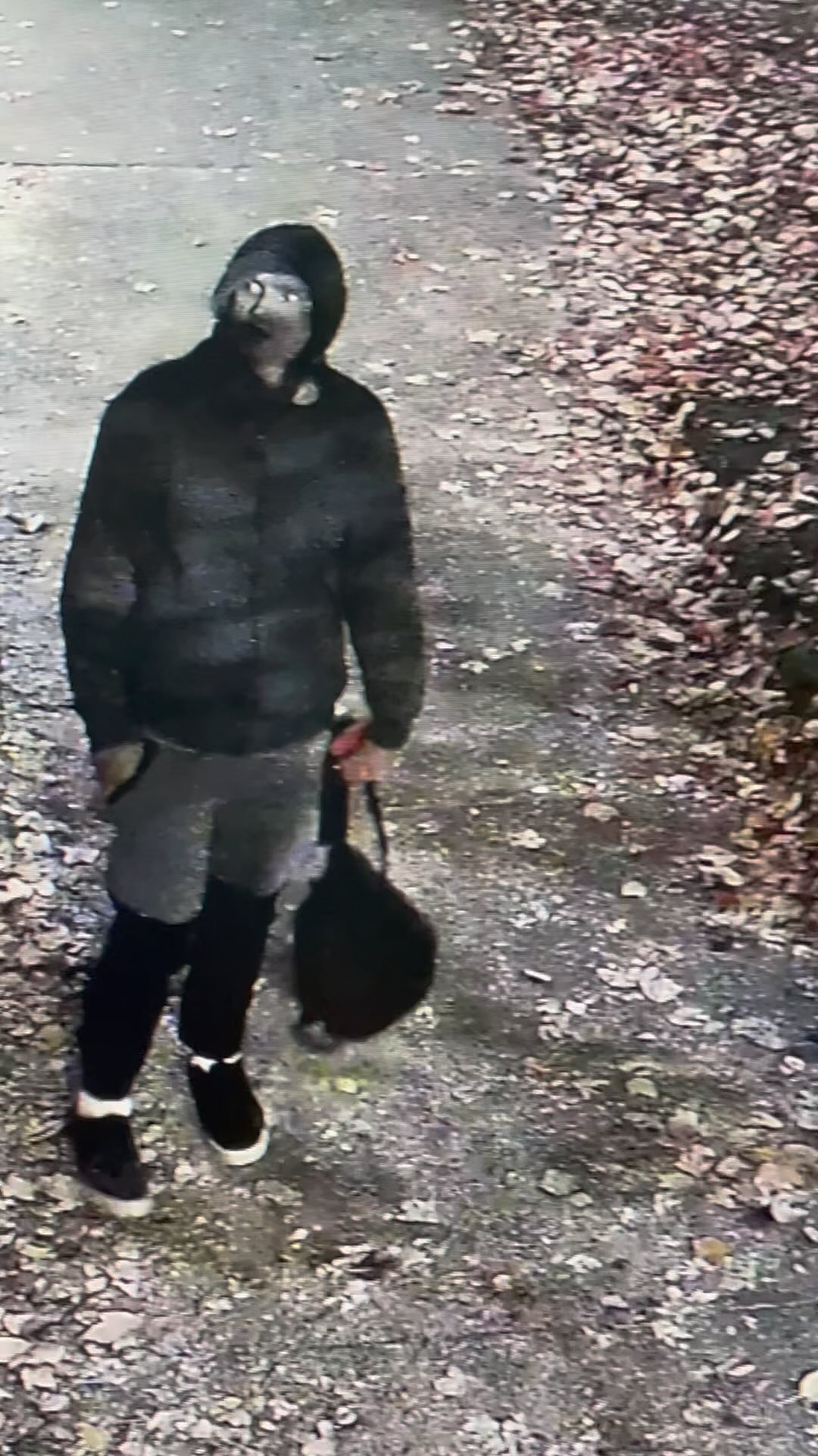 Fremont Community, this individual broke into our restaurant, Kaosamai around 4am this morning. Be on the lookout and be sure to be taking extra precautions. This is the second time in recent months we’ve been hit.