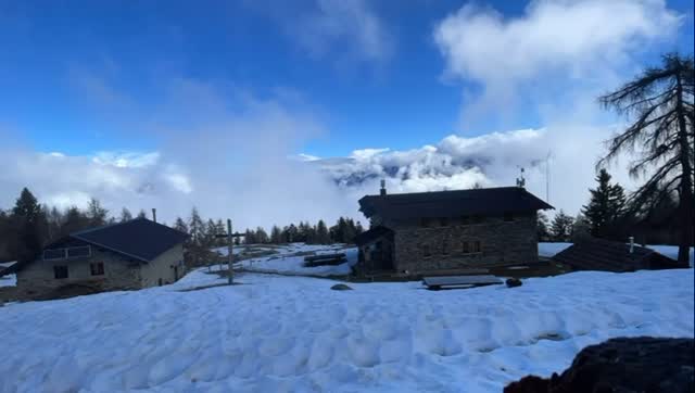 Buona Pasqua da Scoggione 🐣🕊️