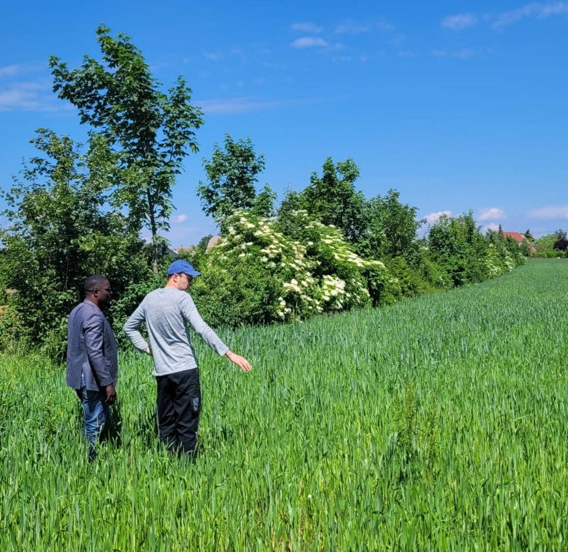 #chambreagriculturealsace#afdi