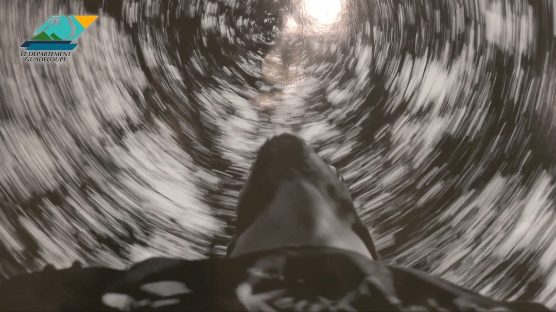 📷 𝗥𝗲𝘁𝗼𝘂𝗿 𝘀𝘂𝗿 ʟ'ᴇxᴘᴏꜱɪᴛɪᴏɴ ᴘʜᴏᴛᴏ ᴅᴇꜱ éʟèᴠᴇꜱ ᴅᴇ ᴋᴏᴜʀᴛʀᴀᴊᴍé ᴋᴀʀᴀïʙᴇꜱ ᴀᴜ ᴍᴜꜱᴀʀᴛʜ ǫᴜɪ ᴇꜱᴛ ᴘʀᴏʟᴏɴɢéᴇ ᴊᴜꜱǫᴜ'ᴀᴜ ᴍᴀʀᴅɪ 10 ꜱᴇᴘᴛᴇᴍʙʀᴇ !
ᴄᴏᴍᴍɪꜱꜱᴀɪʀᴇ : @ᴍᴀʀɪᴇ.ᴇꜱᴄᴀʀɢᴜᴇʟ
📹 @ᴅᴇᴘᴀʀᴛᴇᴍᴇɴᴛ_971
.
.
.
@followers #ᴄɪɴᴇᴍᴀ #ᴅɪʀᴇᴄᴛᴏʀ #ᴘʜᴏᴛᴏɢʀᴀᴘʜʏ #ᴋᴏᴜʀᴛʀᴀᴊᴍé #ᴋᴏᴜʀᴛʀᴀᴊᴍéᴋᴀʀᴀɪʙᴇꜱ @ʟᴀᴅᴊʟʏ @ᴇʀɪᴄᴘᴏɪɴᴛᴊᴜᴅᴏʀ @ᴇᴜᴢʜᴀɴᴘᴀʟᴄʏᴏꜰꜰɪᴄɪᴀʟ #ꜰʀᴀɴᴄᴇ2030 @ʟᴇ_ᴄɴᴄ @ɴᴏʀᴅʙᴀꜱꜱᴇᴛᴇʀʀᴇ @ᴅᴇᴘᴀʀᴛᴇᴍᴇɴᴛ_971 #ʟᴀʙᴜʀᴇᴀᴜᴛɪǫᴜᴇꜱᴏʟᴜᴛɪᴏɴꜱ @ꜱᴏɢᴜᴀᴠᴀ_ɢᴜᴀᴅᴇʟᴏᴜᴘᴇ #ɢᴜᴀᴅᴇʟᴏᴜᴘᴇ #ᴍᴀʀᴛɪɴɪǫᴜᴇ #ɢᴜʏᴀɴᴇꜰʀᴀɴᴄᴀɪꜱᴇ #ʜᴀïᴛɪ