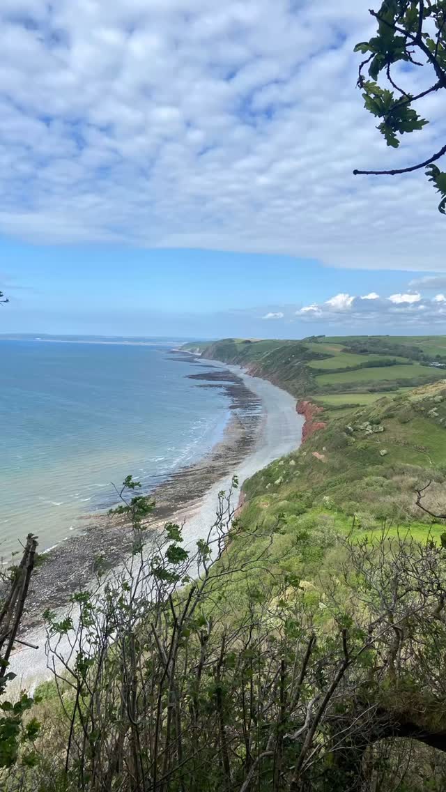 Bluebell hunting….
Gorgeous day, great company and lush views….
Bucks Mills to Peppercombe
#natureinspiredart #southwestcoastpath