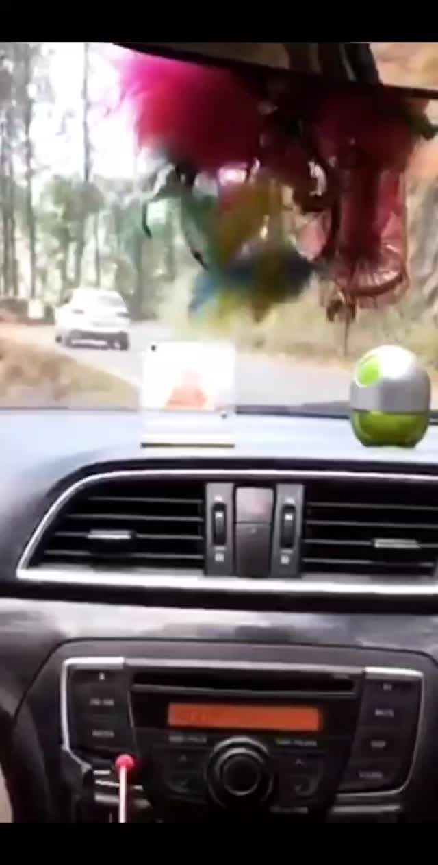 Wish humans could be as wise as Doggos and Travelling could be as easy as Doramon's anywhere door!
📍Uttarakhand
#uttarakhandheaven #uttarakhand #mountainlover #wanderlust #a #uttarakhandtraveller #uttarakhand_beauty #wanderwithskyarmy #reelitfeelit #reelkarofeelkaro #t