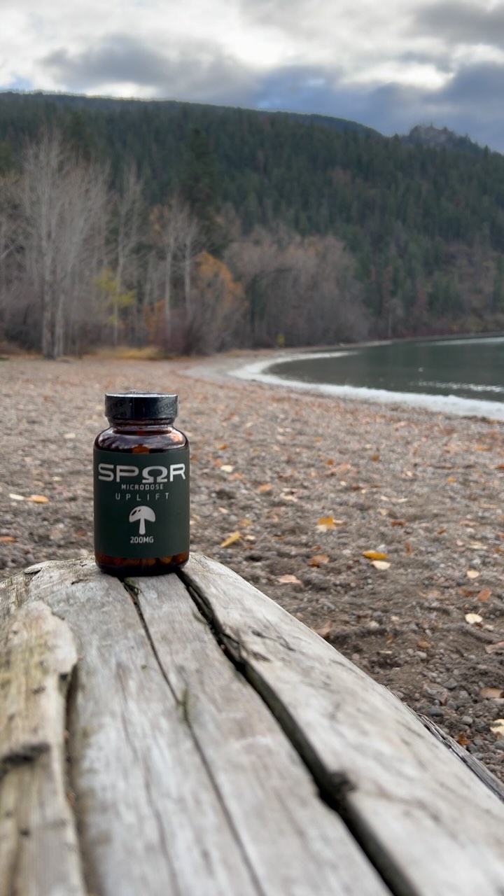 Whether you’re struggling with anxiety, wanting more motivation to get in shape or could use a creativity and productivity boost. We have the solution for you! 🧠🍄
First time customers can get 10% off with code ‘WELCOME10’.
#elevateyourmind #nootropic #productivityboost