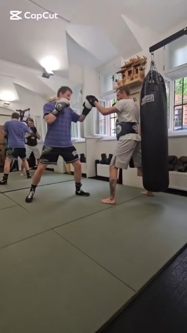 Bořek is getting better! 2 years in! #goodtimes