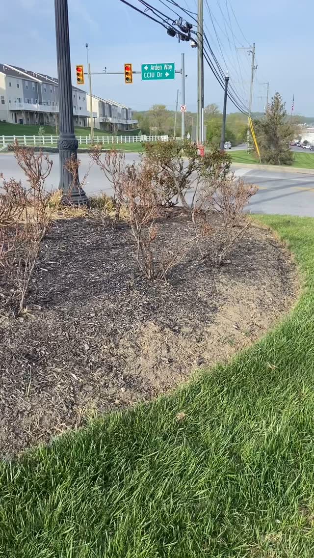 A complete overhaul of the TCHS Brandywine front sign flowerbed πΉπΈ PLANTS FROM: @spring_run_farm #wpm #willspropertymaintenance #lawncare #lawnmaintenance #flowerbed #overhaul #vermeer #spring