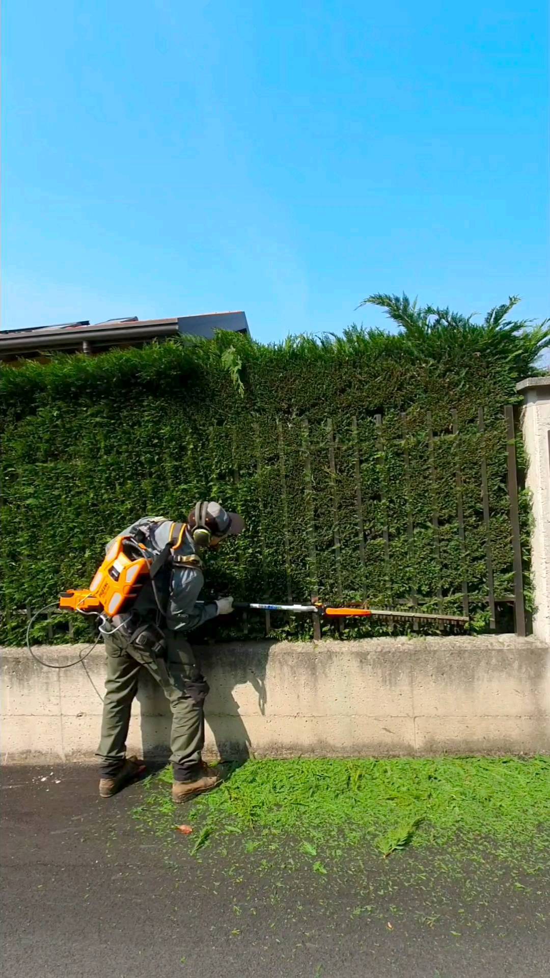 Potature.
.
.
.
.
.
.
.
.
#treesurgeon #treclimbing #giardinaggio #giardino #natura #garden #piante #green #fiori #verde #nature #gardening #potatura #italy #giardiniere #giardinodicasa #italia #love #flowers #landscape #plants #polliceverde #potature #foglie #sempreverde #giardini #topiartis
