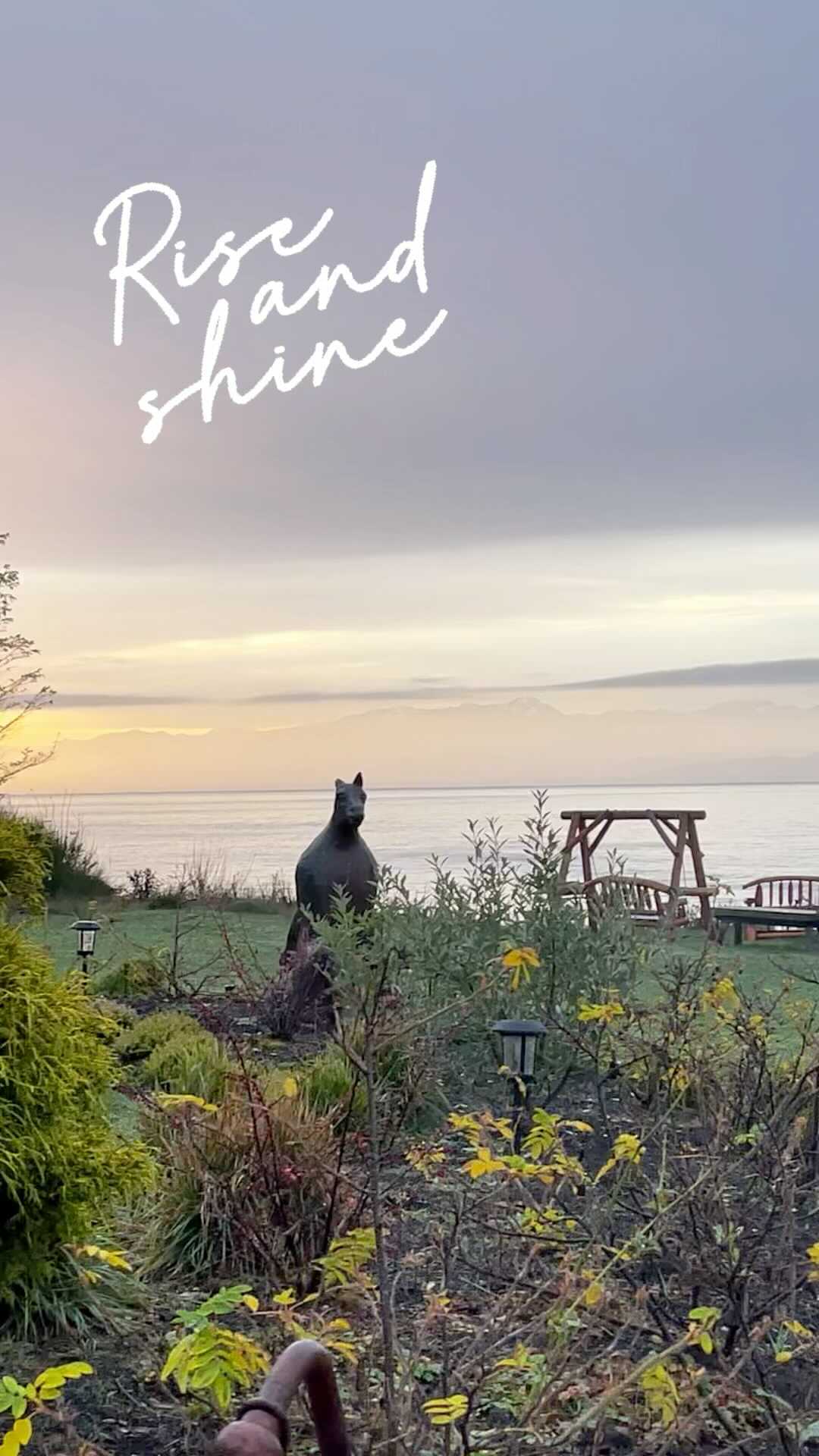 ADVENTURE - we all need a little bit of that right now! Well we have it all right here on The WEST Coast Surf, Hike, explore or simple Relax! #vacationrental #westcoast #airbnb #luxuryvacationrentals #surf #comestaywithus #bc #sookebc #stormwatching #victoriabc #wildwestcoast #vacationhomes