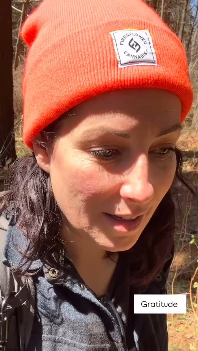 Spring has sprung and the forest is alive! Come for a walk with me! I have a number of upcoming dates for foraging walks. If you are wanting to discover more about the food in our backyard and how to use it let’s take a walk!
Link in my bio 👆