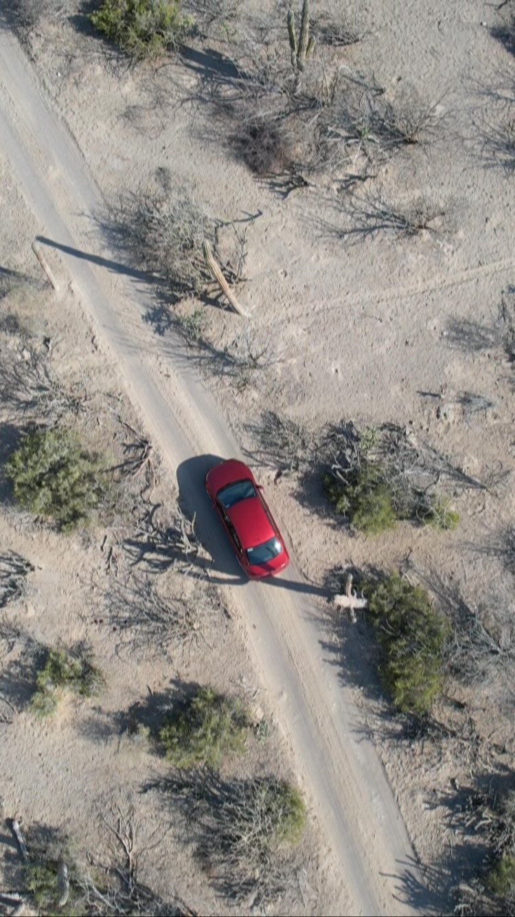 Summer Trip por La Paz, B.C.S.
#vidamexico #mexico #mexicolors