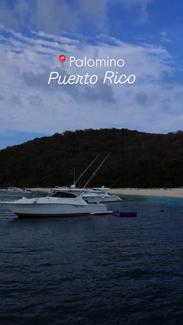 Who are you taking with you to Palomino? Send them this video ✨
#puertorico #palomino #puertorico🇵🇷 #puertoricogram #yachtlife⚓️ #boatlife #yachting #boating