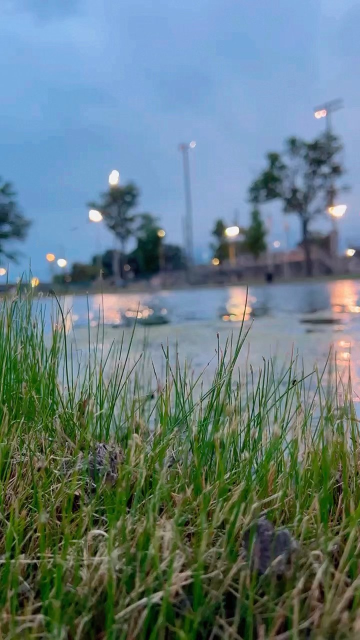 Feel the nature 🙃🪷