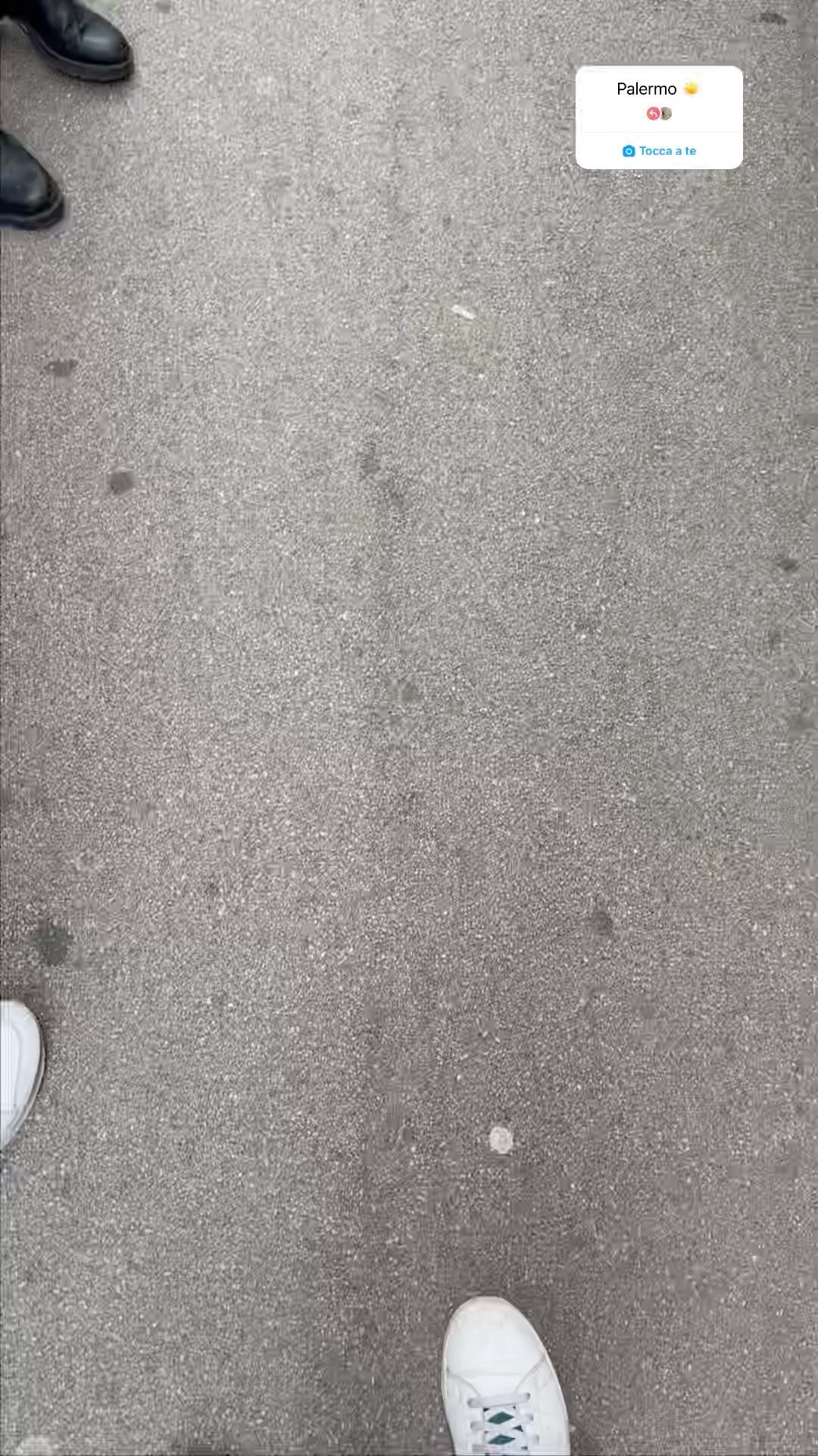 Una vacanza a Palermo non è una vacanza se non assaggi lo street food tipico, per entrare nel pieno mood della città 🍕🍻🍪☀️
#palermo #sicilia #foodporn #palermodamangiare #siciliabedda #sicilianfood