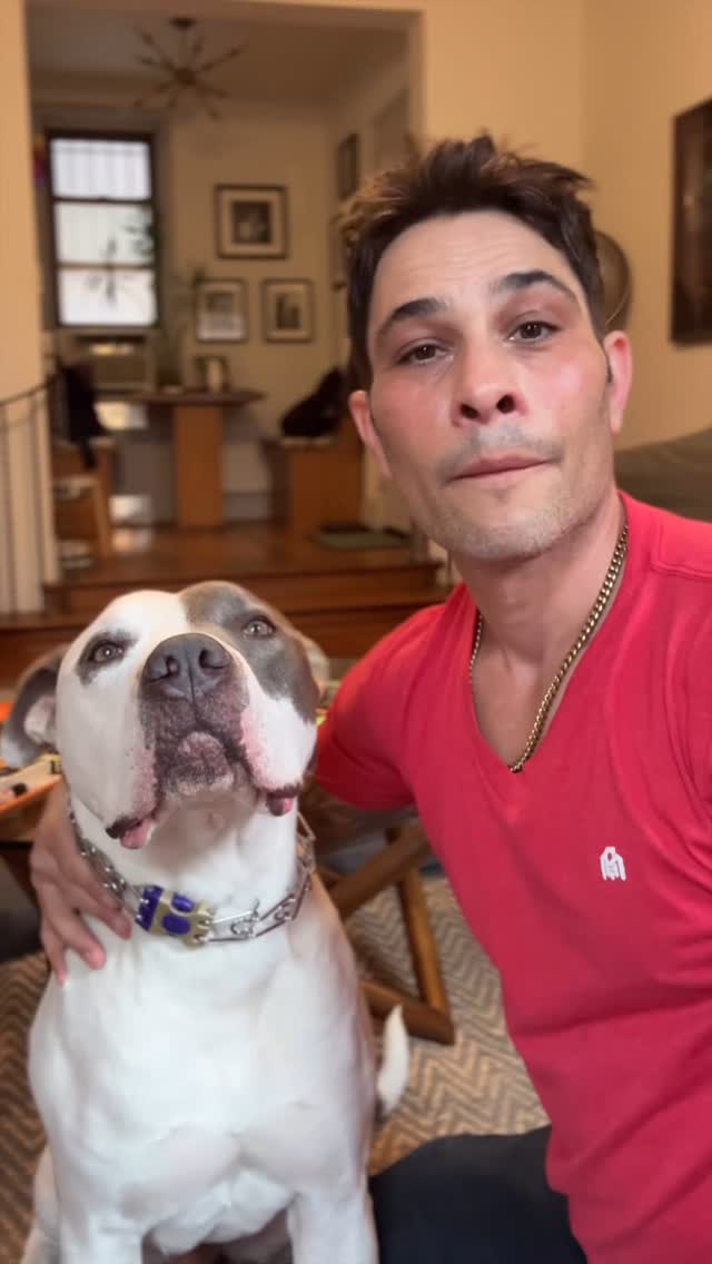 Check this out- Quick Clips- @diggitdogtraining sent me one of these to try and I LOVE THEM! They are not paying me to say this- this is 100% my experiance W/ this product. You can get them in the bio on their page