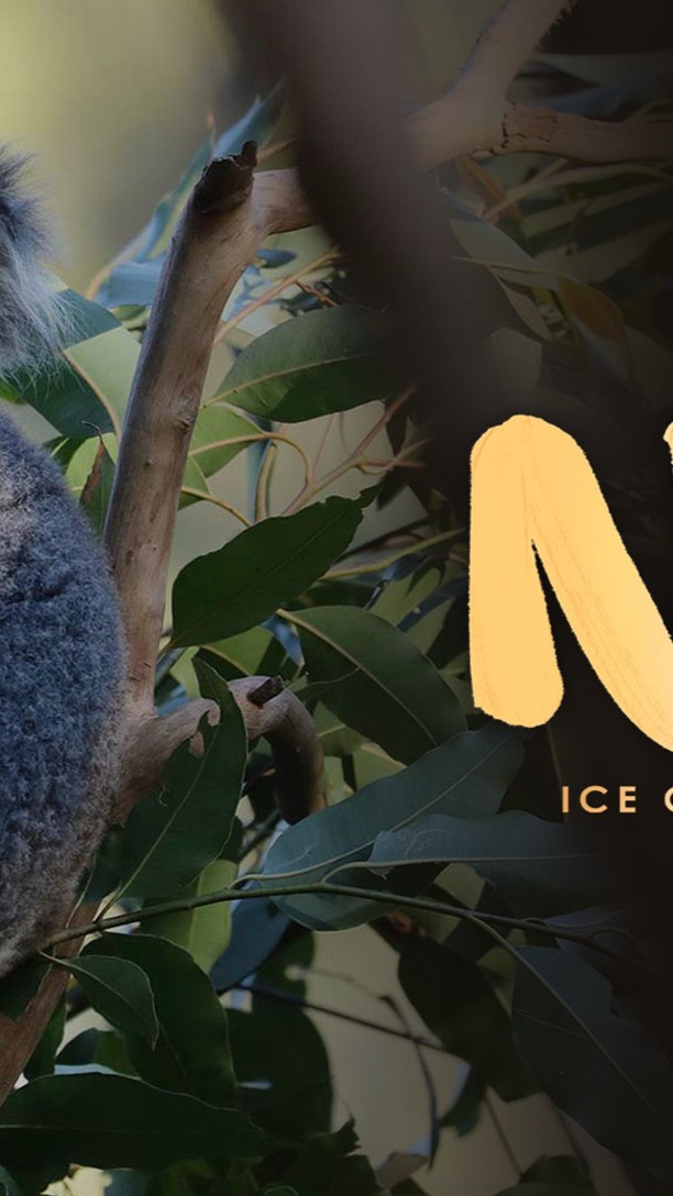 🇩🇪🇨🇭 Endlich ist der Sommer da, und mit ihm die Zeit erfrischender Eiscreme. Da passt es ja perfekt, wenn ich eine meiner aktuellsten Projekte für Nuii hier platziere. Geniesst die warmen Temperaturen und gönnt Euch auch mal eine Erfrischung!
🇪🇸 Por fin ha llegado el verano, y con él la temporada de los helados refrescantes. Así que me parece perfecto colocar aquí uno de mis últimos proyectos para Nuii. Disfruta de las cálidas temperaturas y date un capricho refrescante.
🇬🇧 Summer is finally here, and with it the time of refreshing ice cream. It fits perfectly when I place one of my latest projects for Nuii here. Enjoy the warm temperatures and treat yourself to a refreshment!
#voiceactor #voiceover #freelancer #voiceactorslife #sprecher #portfolio #tvspot #swissgerman @nuii_icecream_global