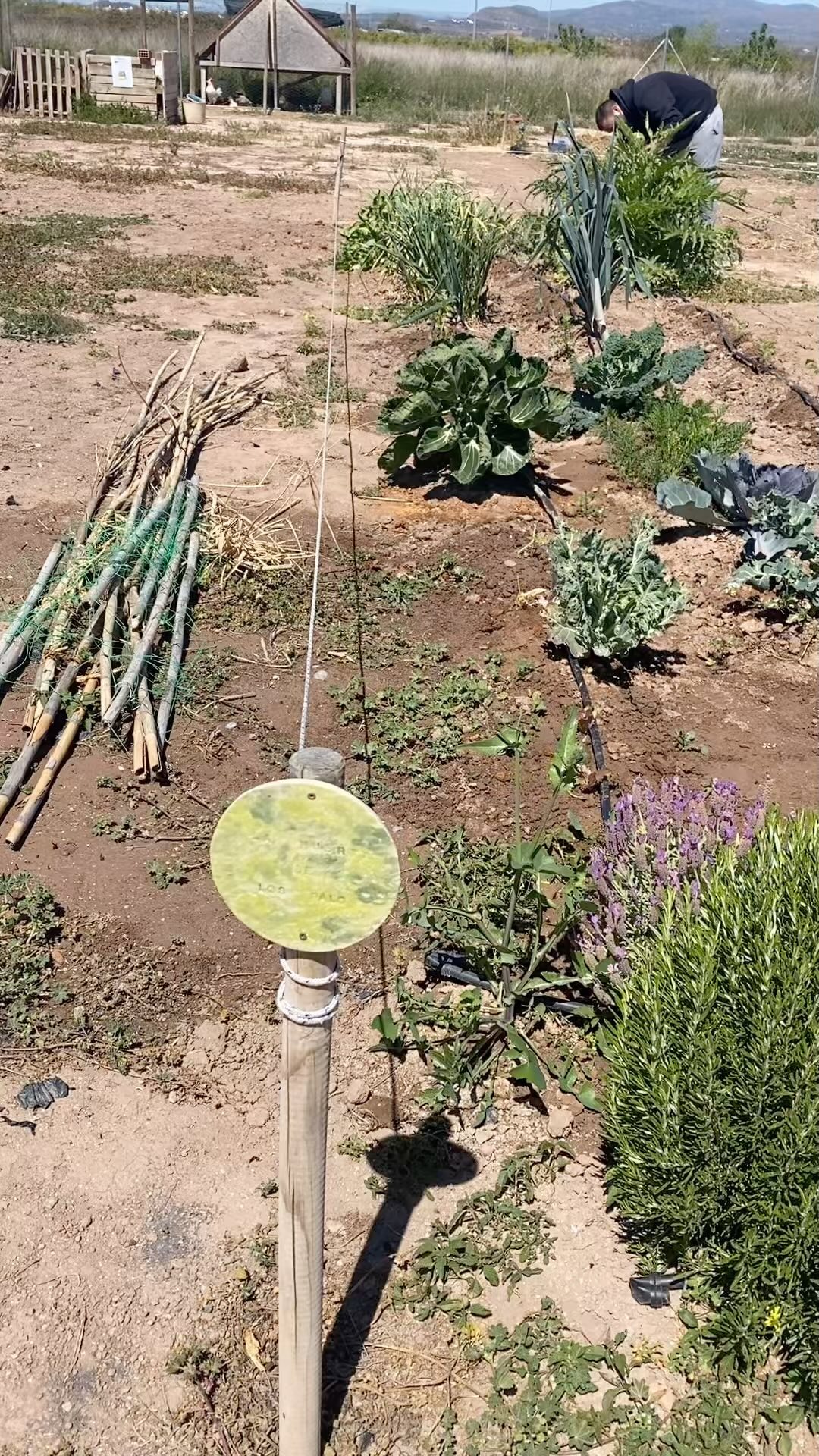 Sin duda, la más grande de Che Terreta…
Muy bien chicxs!!!👏🏻🙌🏼🎉
Se abre la competencia a ver quién la supera!!