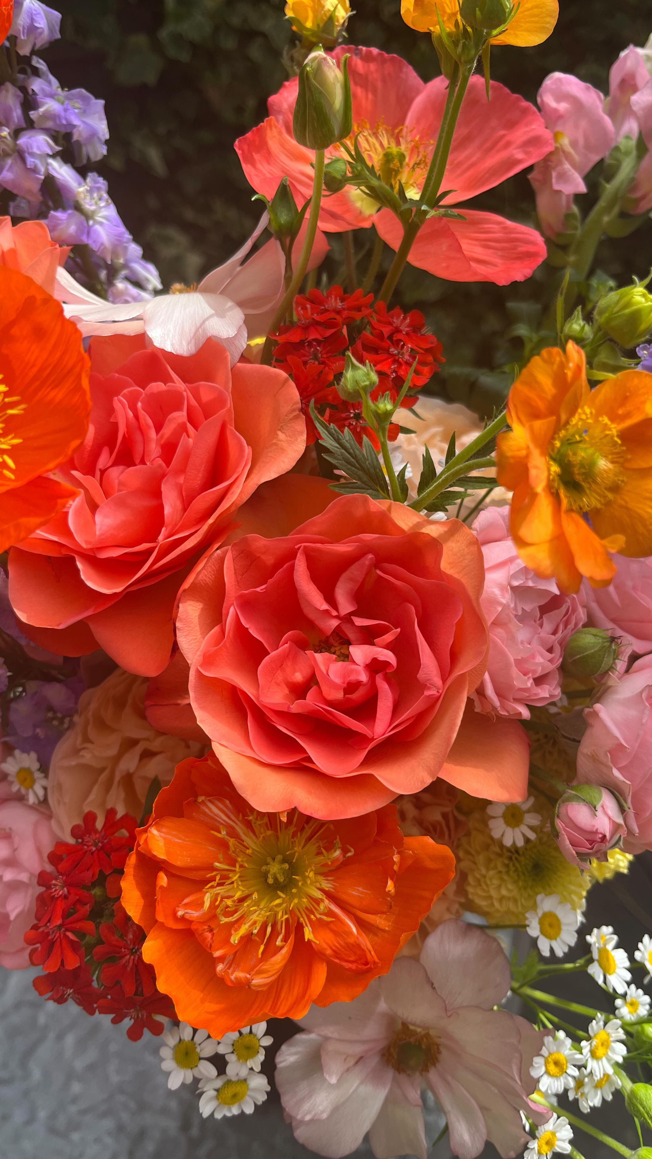 Alice and Jj’s wedding day. @rebecca_enchantedgardens @theletchworthcentre
# gardenstyleflowers #flowersmakemoments #londonflorist #essexflorist #gatheredgarden #seasonalfloweralliance #seasonalflowers #alliseeispretty #wedding #bridetobe #weddingflowers #flowersofinstagram #stylingtheseasons #floristsandflowers
#flowersandotherstories
#undertheflowerspell
#weddingreception #modernwedding #weddingbouquet #isaidyes #engaged
#weddingideas #essexwedding #weddinginspo #Londonwedding #Countrywedding #summerwedding #autumnwedding #2022wedding #2023wedding