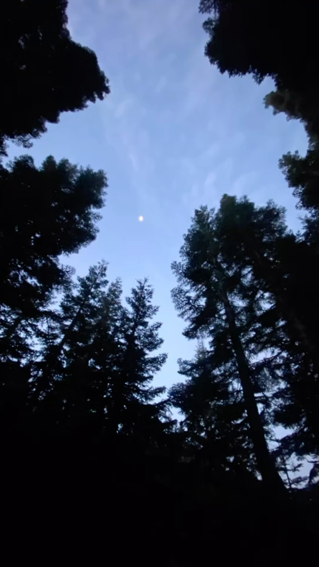 Capped off the end of summer with a hike up #mtsainthelens 👍 My second time hiking to the summit & again a tough one, but worth all the amazing views😁
.
.
.
.
.
.
#graphicdesign #graphicdesigner #graphicarts #logo #logodesigner #logoartist #logoartwork #designer #design #creative #creativelifehappylife #creativedesigner #creativeart #freelance #freelancerlife #freelancelogodesigner #freelancelife #logos #forhire #hikesthelens #mtsainthelens #hikingadventures
