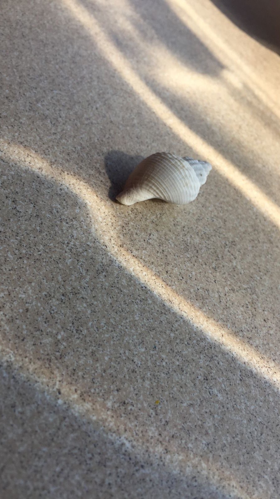 About You journal is filled with questions and motivational texts that support me daily and have guided me through important stages of my life.
I’ve shared my observations, thoughts, and even some of the experiences I’ve gained along the way.
I hope it resonates with you, and that you find support and value in it.
В ежедневнике собраны вопросы и мотивационные тексты, которые поддерживают меня ежедневно.
Эти вопросы продвинули меня в принятии важных жизненных решений.
Я поделилась своими наблюдениями, мыслями, местами даже полученным опытом.
Я надеюсь он откликнется вам, и вы найдете поддержку и пользу в нем.
@aboutyouco
Digital Version: AboutYouCo.com
Print Version: Amazon.com (About You Workbook by Kseniia Tkachenko)
#aboutyouworkbook #aboutyoujournal #journal #workbook