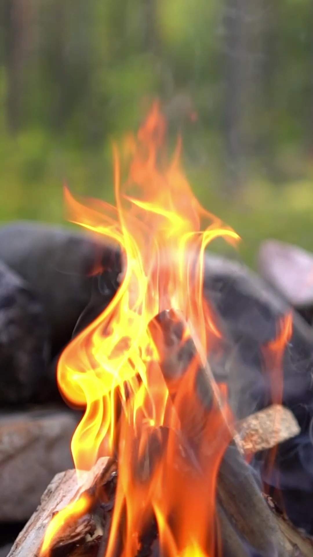 🌲🎥
👉 www.olkivisual.fi
#suomenluonto #luonto #metsä #digitoimisto #mainostoimisto #videotuotanto #videokuvaus #drone #ilmakuvaus #olkivisual #oulu #suomi