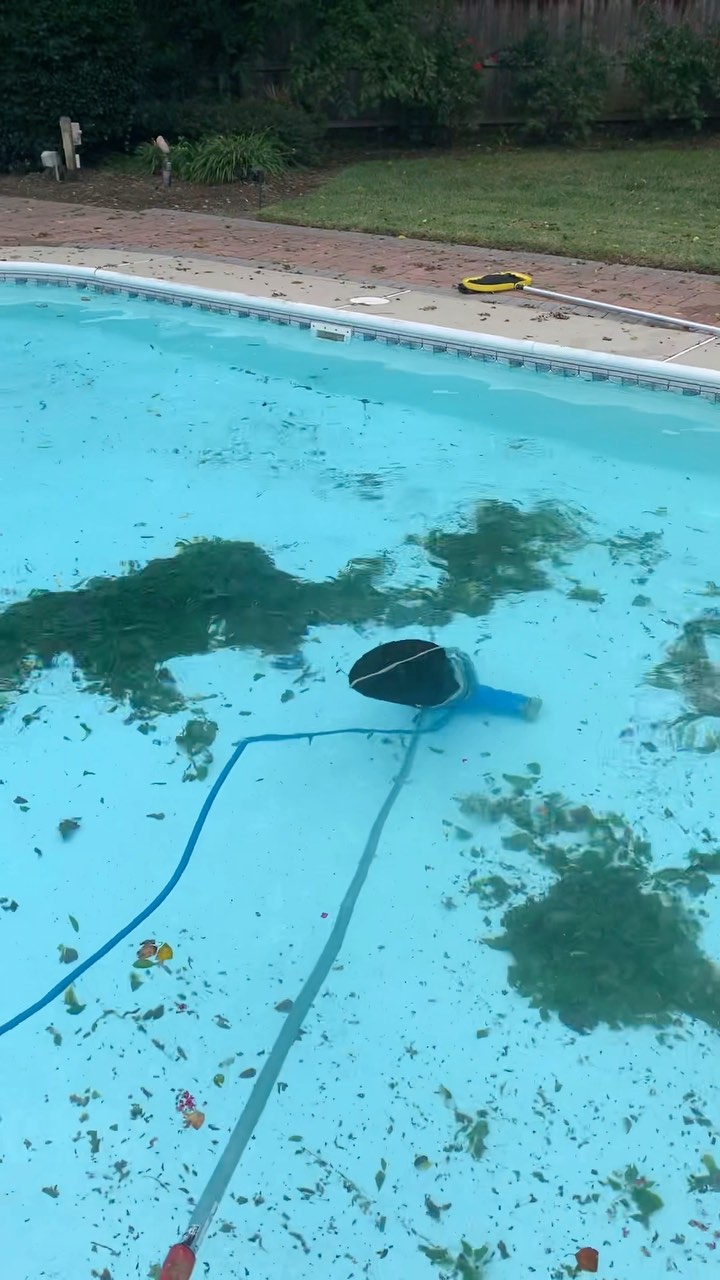 Weather got you down? US TOO! Storm clean ups for days ⛈️🍂🌊
@machonacho76 @primatepooltools @riptidevac @piranhapoolproducts
_________________________________________
#pool #poolguy #poolboy #ahoy #storm #chicksbeach