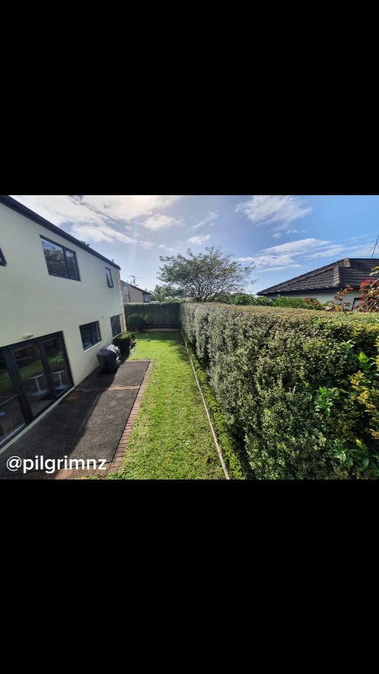 A few more shots of past hedge work