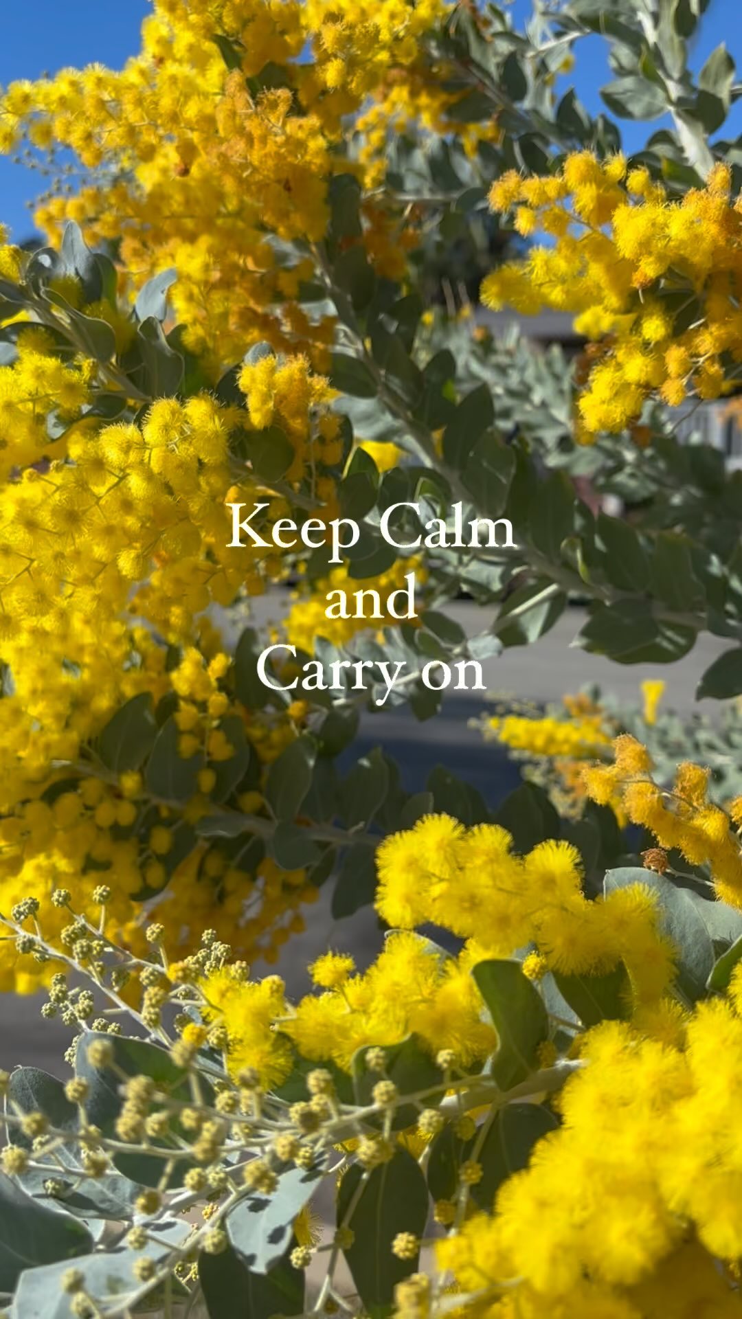 This is the manifestation of hustle culture turning into toxic resilience. We have all bought in, myself included.
What is toxic resilience: the concept that suggests maintaining a consistent level of 100% effort, even when facing frequent and stressful circumstances.
Reset by:
1. Get clear on what matters most (values)
2. Generate SMART goals (Specific, measurable, achievable, realistic, timely)
3. Prioritize
4. Stop task splitting and set incremental timers to do one thing at a time (only 2% of the population can in fact multi-task and it’s terrible for your brain)
5. Be intentional about making change it’s suggested even good change increases stress levels. Chose 2 things in your life to change at a time stick with it for approx 8 weeks that way it sticks
These are just some ways to reset. Toxic productivity and resilience are crushing us and causing real problems for our society as a whole. None of us feel like we can ever turn off. It’s time to really reconsider the way you are operating for your own wellbeing!
#stress #resilience #toxicproductivity #retiredathlete #welbeing #mentalhealthmatters #sportspsych #emdr #trauma #recoveringperfectionist #uscathletics #memtalhealthawareness #mentalhealthsupport #psychotherapy #recoveringperfectionist #perfection