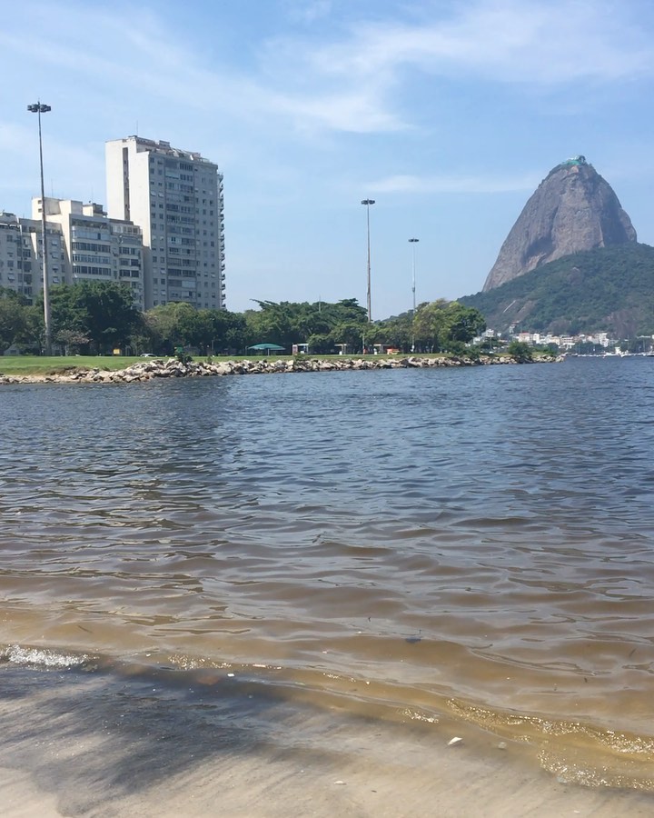 Au revoir et à bientôt le Pain de sucre, le Christ Rédempteur, la baie de Guanabara, dans la cidade maravilhosa Rio de Janeiro, où tout est possible, ville magnifique, magique, avec ses contrastes, ses joies, ses peurs, où le paradis et l’enfer se côtoient, avec sa lumière jamais pareille grâce au soleil qui éclaire chaque jour Rio de Janeiro comme nulle part ailleurs. Le Christ Rédempteur du haut de sa colline le Corcovado joue avec les nuages, mais il est toujours là pour bénir les citoyens Carioca……. www.lhommederio.fr #riodejaneiro #joiedevivre #amitié #favela #elenao
#lyon #progres #beauté #population #christ #redemption #jeanpaulbelmondo
#beaute #samba #carioca #beaute #carnaval #christ #redemption #corcovado
#enfant #favelas #elephant🐘 #dieux #deus #amour #love #belmondo
#gang @faveladopaulinho #livre #enfance #belmondo