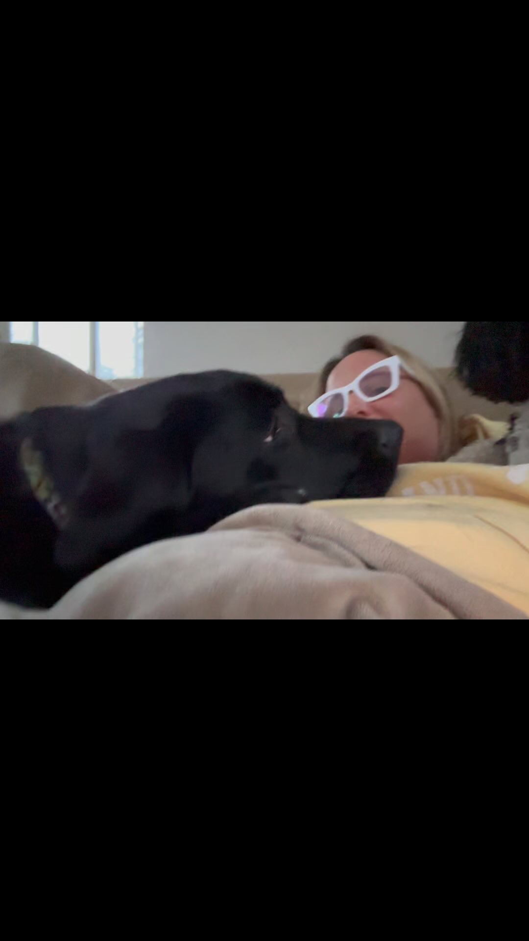 So much 💕. #dogwalking #dogsofinstagram #dogwalker #doglover #dogstagram #petsitting #dogwalk #dogoftheday #doglovers #doglife #petsitter #instadog #doggydaycare #dogwalkerlife #fyp #dogwalkersofinstagram #dogboarding #dogwalkers #longislanddogs #dogsoflongisland #huntingtonny #greenlawnny #lidogs #thedogist #HGLfamily #petsittingservices
#thedogsoflongisland #longislanddogsofinstagram