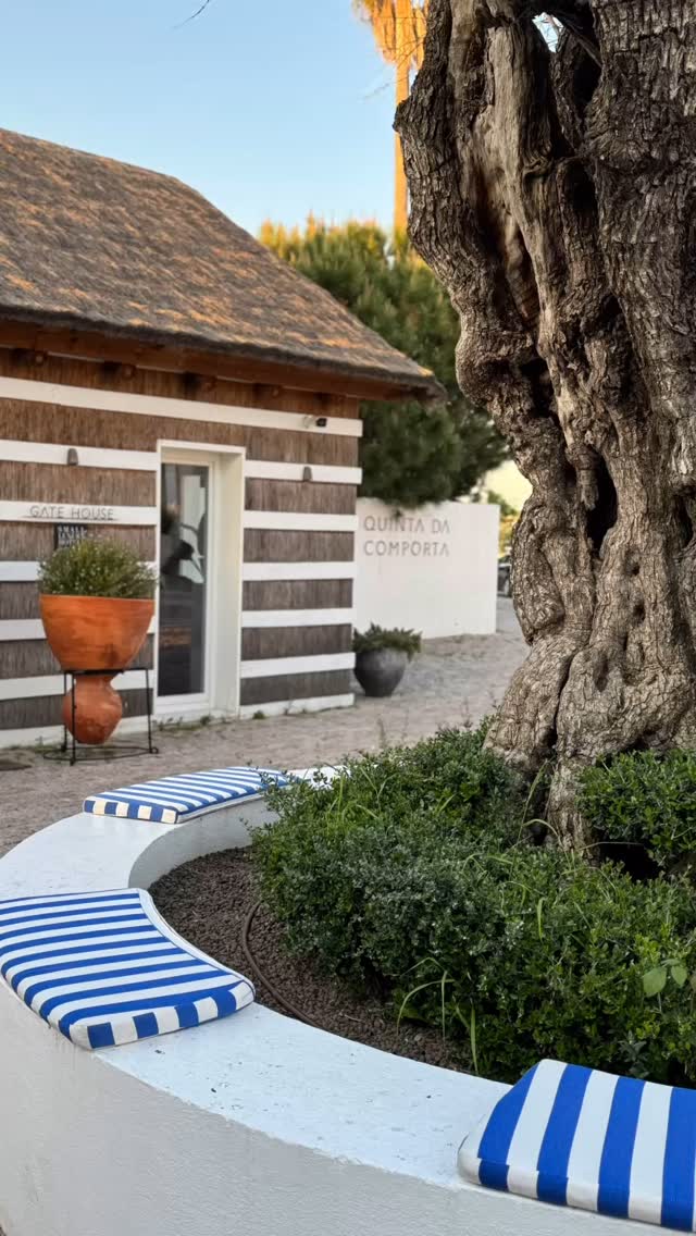 I love taking photos of things that inspire me and as you should know I'm always inspired by beautiful design. I loved the sunset and the peaceful mood when I took these photos. Just love being at the coast!!