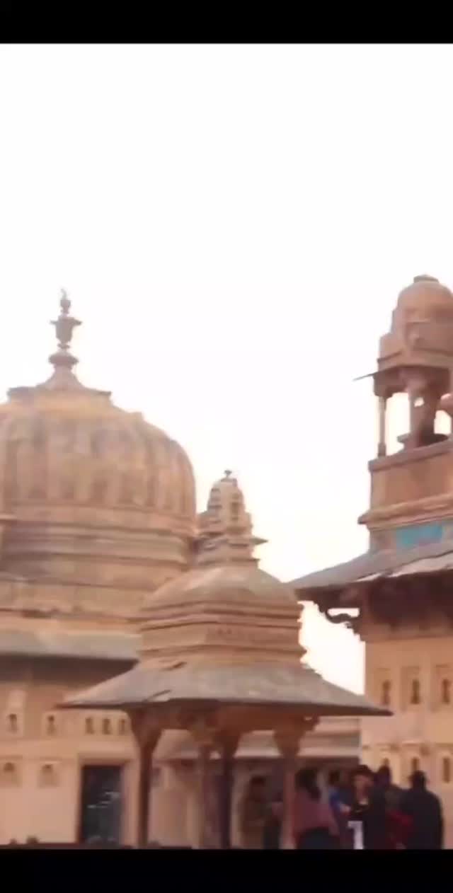 We have nothing to loose and a world to see 👀
📍Jahangir Mahal, Orchha
Build for the Mughal Empror Jahangir, the mahal decpicts the pure touch of Royalty. The architecture is a mix of Rajput and Mughal depicting the collaboration of both the Kings. 🏰
#orchhafort #jahangirmahal
#madhyapradeshtourism #madhyapradesh #travelling #t #myindia @makemytrip