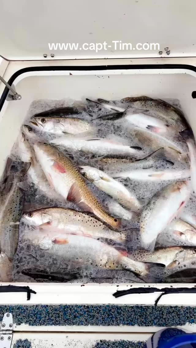 give us a call to book your next adventure www.capt-Tim.com 9852091812