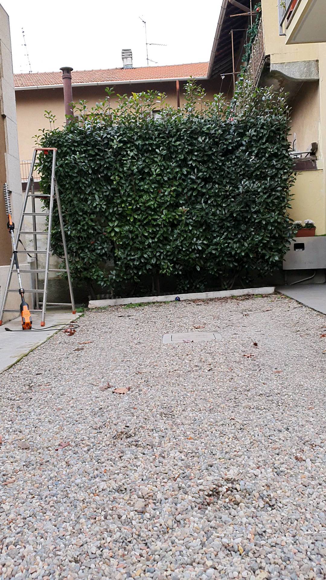 Potature.
.
.
.
.
.
.
.
.
#treesurgeon #treclimbing #giardinaggio #giardino #natura #garden #piante #green #fiori #verde #nature #gardening #potatura #italy #giardiniere #giardinodicasa #italia #love #flowers #landscape #plants #polliceverde #potature #foglie #sempreverde #giardini #topiartis