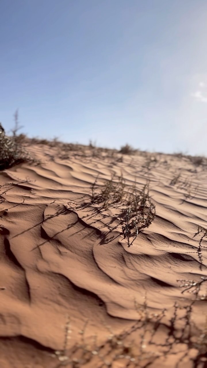 New beginnings❄️🤍🙏
New 🌑 in Pisces, bring it on.
👣👣Road trippin to Colorado.. Durango, Boulder, Vail, copper, bring it all. We’re here for it, LIFE.