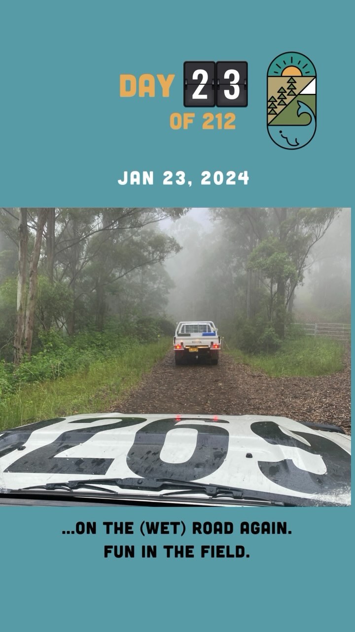 Day 23/212 On the road again!