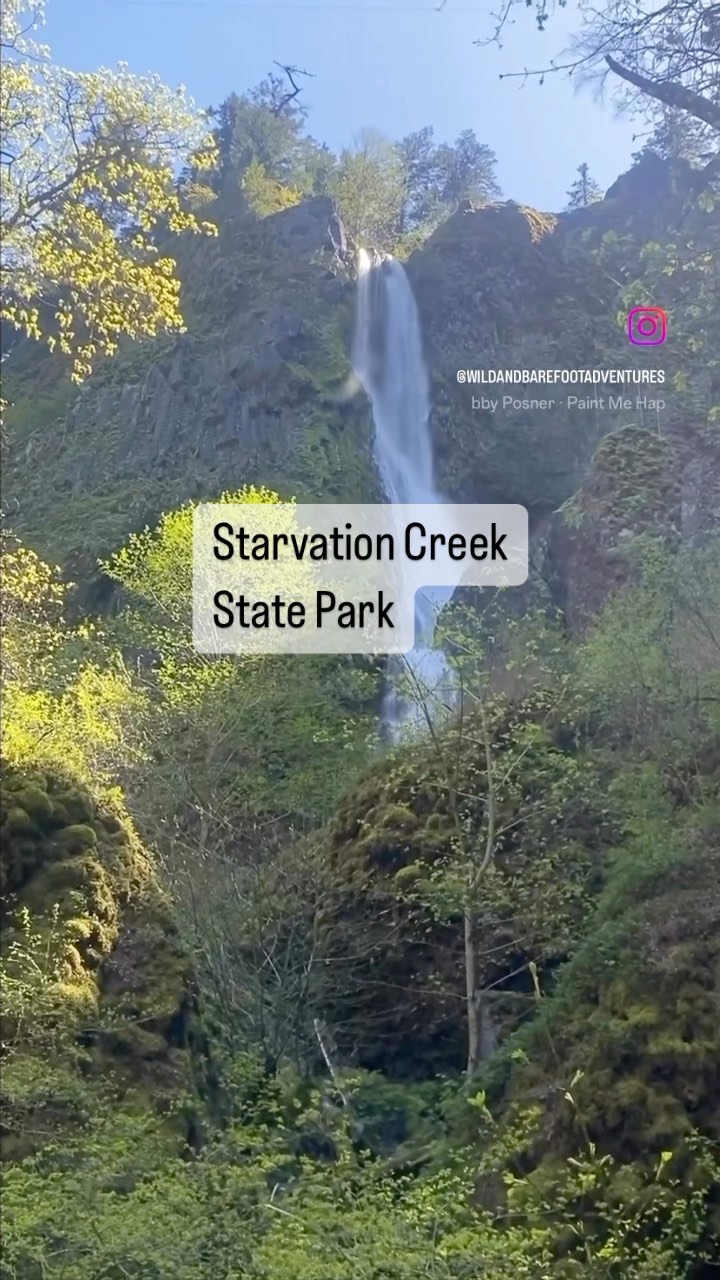 📍 Starvation Creek State Park
Learning Topics: waterfalls, insects, moss
Risks: typical risks
Description: Did you know Starvation Creek State Park in Oregon got its name from a tragic event that occurred in the area in the late 1800s?
On December 18, 1884 a train with 148 passengers was headed to Portland and got stuck in a 25 foot snow drift. The railroad hired residents to walk or ski to the stranded train to bring provisions and shovel the area. After three weeks the train finally reached its destination! Despite newspaper reports and legends, nobody starved to death but the name stuck.
Today Starvation Creek is a beautiful family destination. With paved, stroller friendly trails and picnic benches there are 4 easy to access waterfalls. A short walk .1 miles east takes you to Starvation Falls. A walk along an easy, paved path that parallels I-84 takes you to 3 more waterfalls (Cabin Falls, Hole in the Wall Falls, and Lancaster Falls).
Check out www.wildandbarefootadventures.com is the full write up with details for this adventure and for linked nature studies!
#wildandbarefootadventures #waterfalls #starvationcreek #starvationcreekfalls #cabinfalls #holeinthewallfalls #exploreoregon #waterfalls #hikeoregonwithkids #oregonexplored #familyfriendlyadventures #getoutside #wildkids #freekids #adventurefamily #adventurelifestyle #oregon #columbiagorge #hikeoregon #getthekidsoutside #makememories