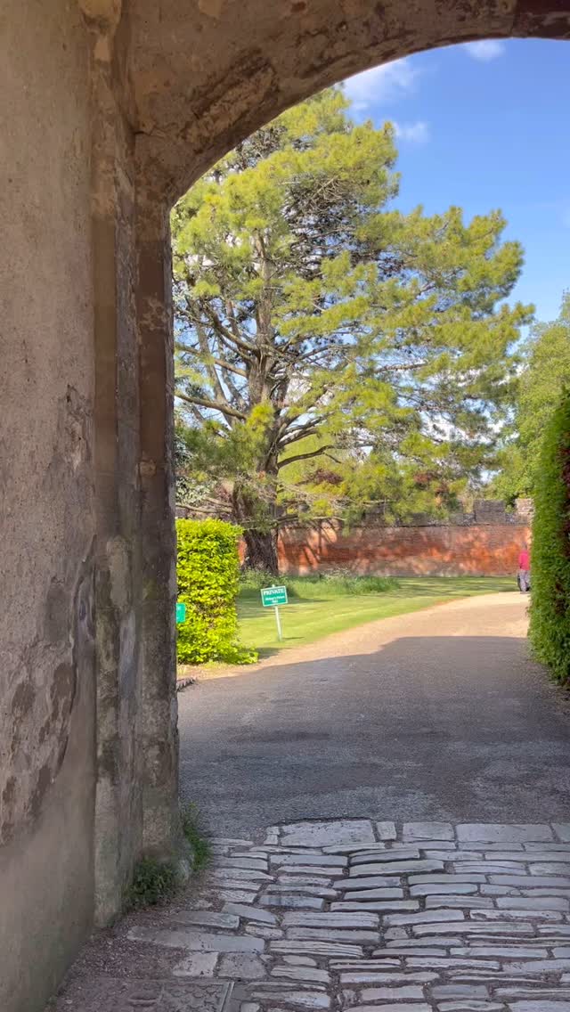 wednesday wondrousness
with @edward_bowring & @tctransitionchichester
so many of these small, local
community garden crews
tending to land
whilst tending to themselves
to each other
to the wider community
whilst feeding locals, volunteers & food trusts
tending to a whole, interconnected, health
inspiring to visit
inspiring to be part of
and so often under resourced
got me a thinkin
in amongst our time poor narrative
maybe there are more seeds we can sew
right here on our doorsteps
that tend to nature
as well as ourselves and our communities?
in all sorts of different shapes and sizes iām sure
suggestions on a postcard slash comment below
ā¦and yes, voiceover feature is a dangerous find šļø
#nature #ecotherapy #ecopsychology #communitygarden #growchichester #transitionchichester