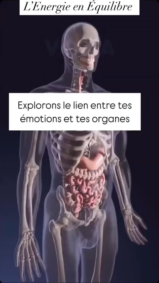 🔑Et si vos émotions parlaient à travers votre corps ?
En médecine traditionnelle chinoise, chaque organe est lié à une émotion spécifique.
Lorsque l’émotion stagne ou déborde, l’organe associé peut se déséquilibrer. Et inversement.
Voici quelques exemples :
•🌿Foie : colère, frustration, rancune
•💦Poumons : tristesse, chagrin
• ✨Reins : peurs profondes, insécurité
• ♥️Cœur : joie excessive, agitation mentale
• 💥Rate : rumination, inquiétude
Ces liens permettent de décoder les messages du corps… et de remonter à la racine de vos déséquilibres.
Mon approche allie digipuncture, soin énergétique et coaching profond pour vous aider à libérer ces émotions enfouies… et retrouver votre Énergie Originelle.
Et si vous écoutiez enfin ce que votre corps essaie de vous dire ?
Réservez un accompagnement ou envoyez-moi un message pour en parler