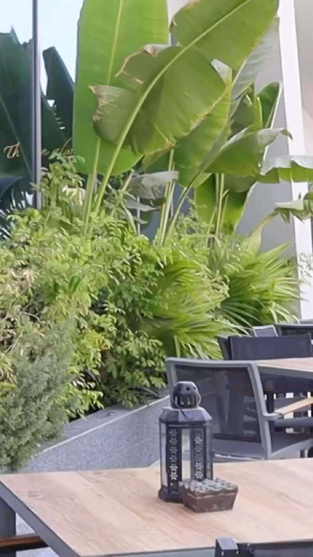 Every day is a good day for coffee. #coffee #restaurant #dubai #uae #jvc #caffeine #photography #summer #cuppa #lovinglife #cityliving #latteart #vacation