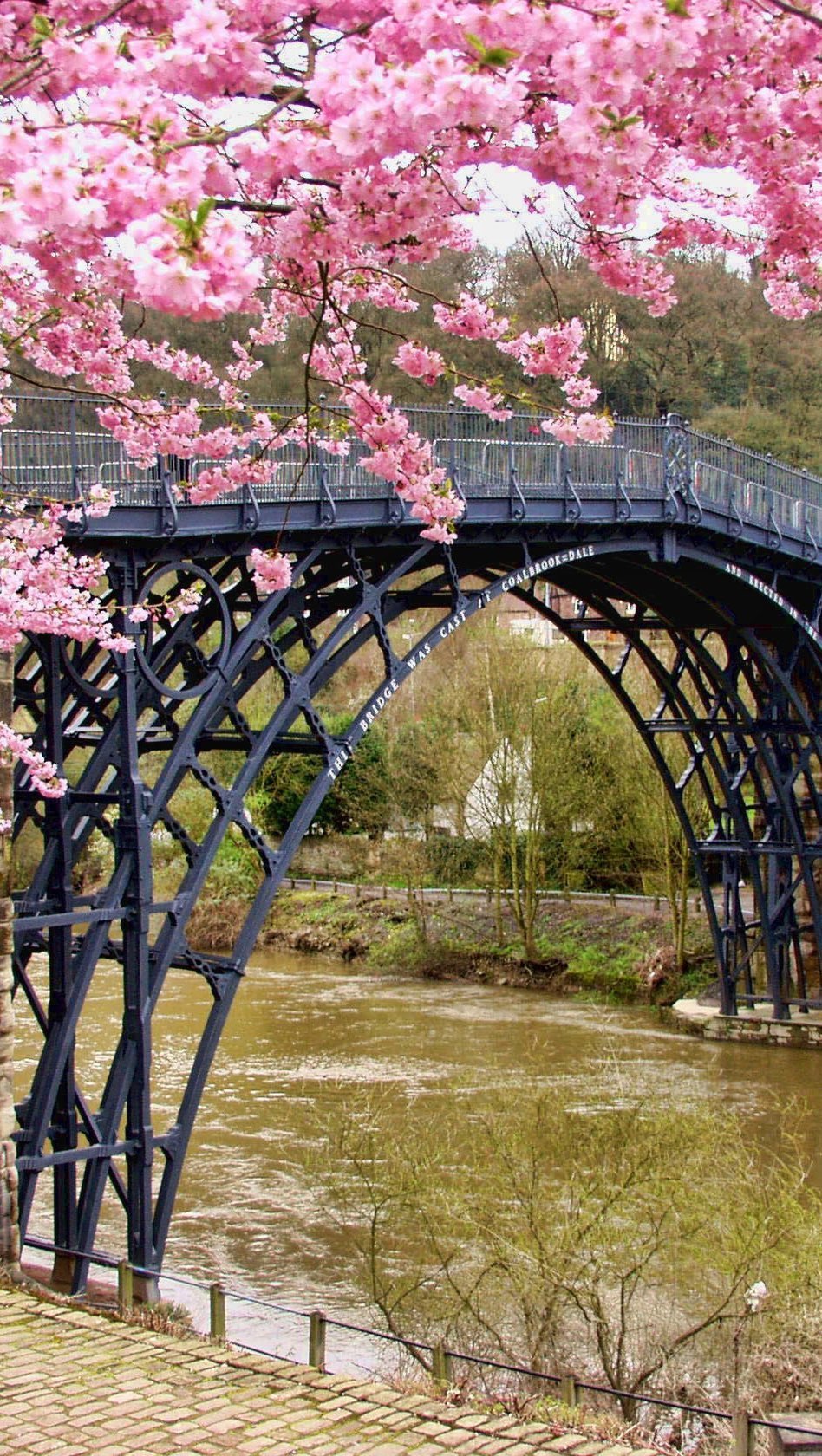 Nature Walks 🧘🏾♀️🔆🌴 Pt 1
Trees and old trees remind me of how many creatures and plants shed skin. Other living things are like humans who always go back to dust.
Do you know what is composed of up to half the dust on the earth? Human skin cells (dead ones of course). Which means that we are all connected in more ways than we know. As humans, plants, creatures, parts and pieces of us are everywhere.
I get humbled during my nature walks, its odd sometimes to refer to the outdoors as nature because it is also home for other animals, plants and creatures. All living things.
#travelphotography
#stayhumble
travel #traveladdict #londoneye #hornimanmuseum #bankofengland #bankofenglandmuseum #travelblogger #journaling #travelbuddy #cocktails #books #art #london #londonart #londontrip #travelgram #museum #explore