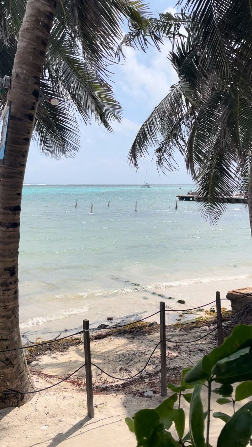 PSA: Nobody can tell you how to live your life. Choose your Path & commit to it! We’ll meet you where you land 🏝️
•
#findyourpath #belize #belize2024 #thepath #thepathretreats #traveltheworld #travelers #travelwithus #grouptravel #solotravel #travelmore #instatravel #travelinspo #inspirationalwords #wordsofinstagram