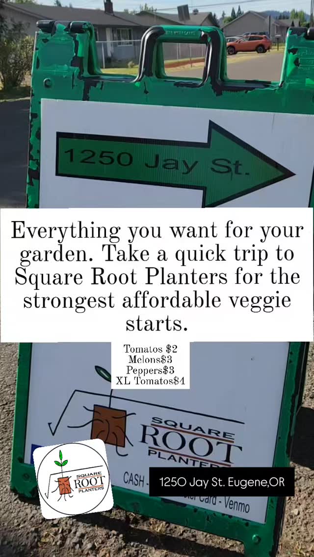 #gardening #veggiestarts #eugene #raisedbeds #newgardener #springtime