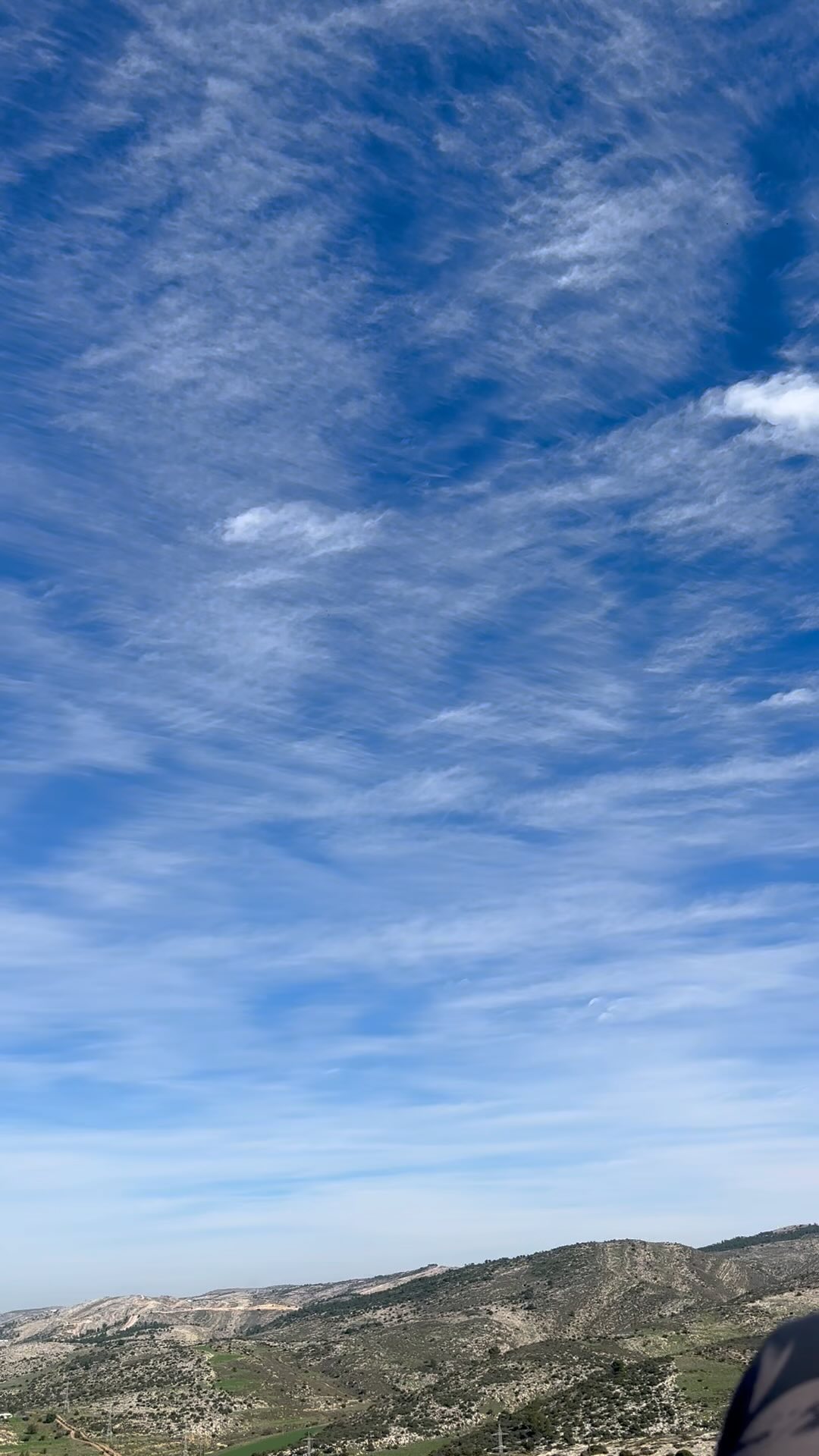 #nature #birds #beauty #magic #flying