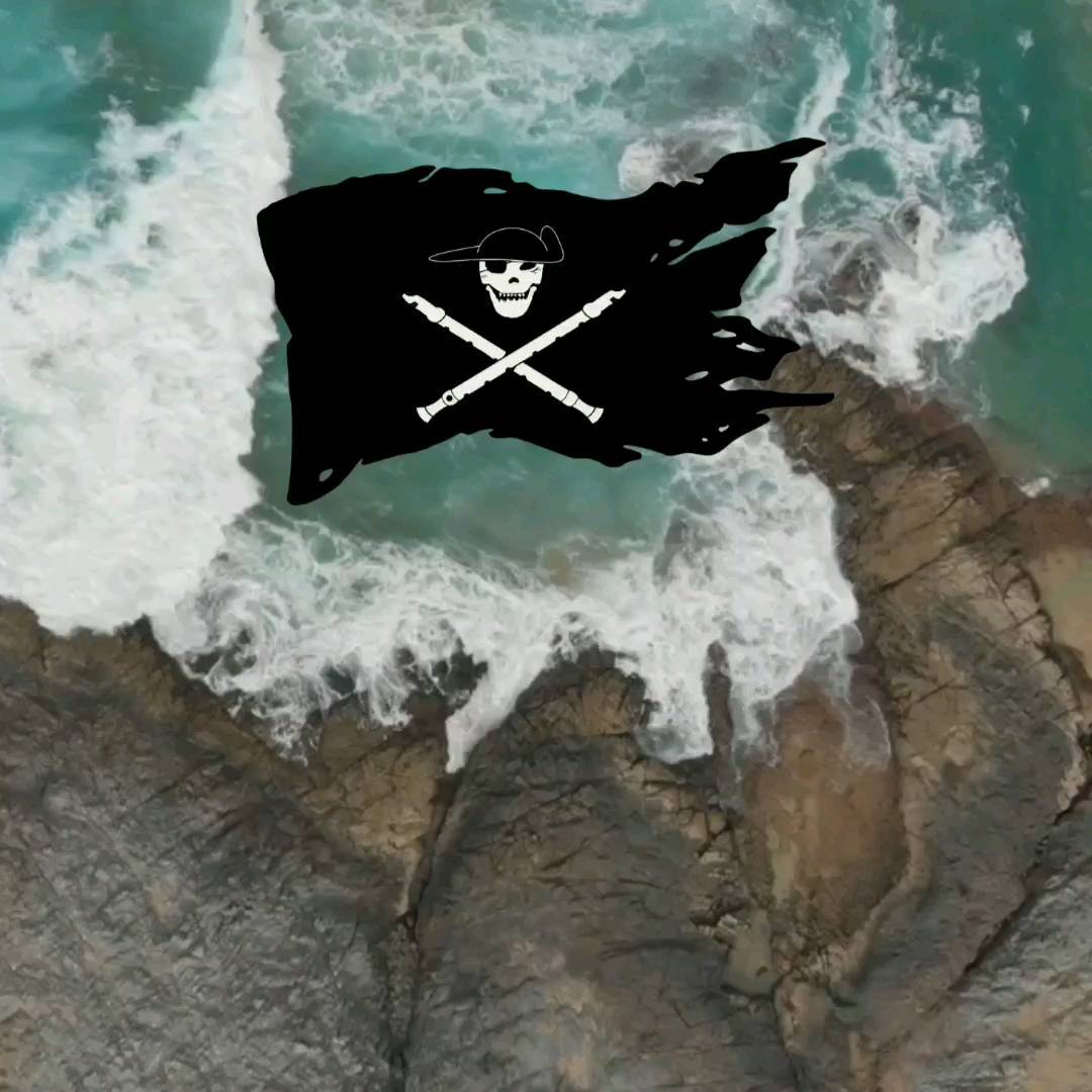 High seas adventure and a clueless protagonist. #fantasybooks #novel #newauthor Coming in October