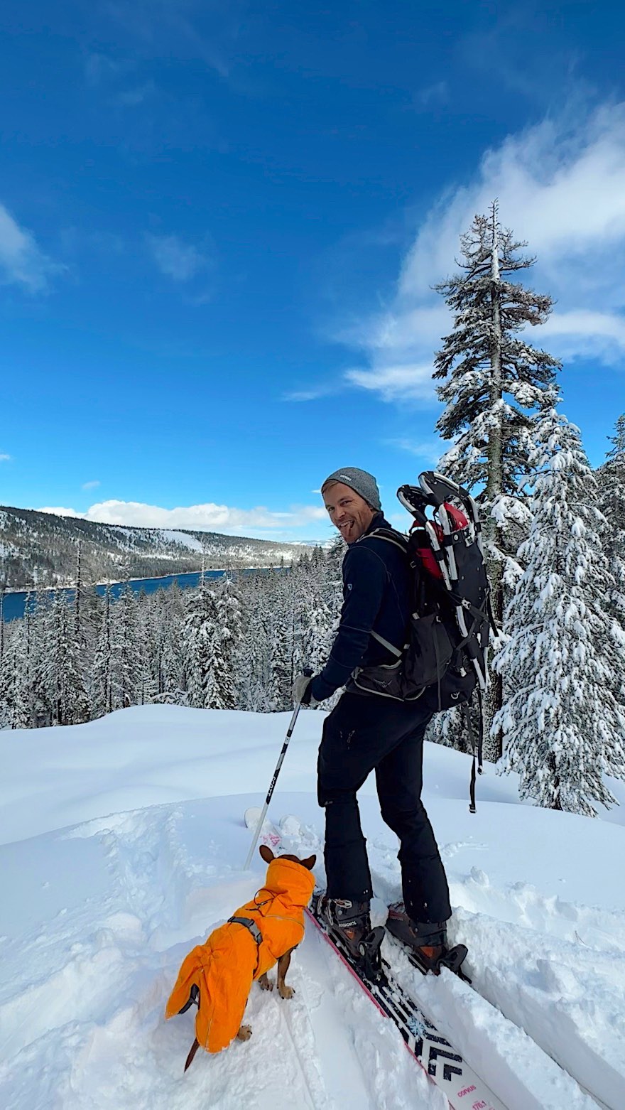 Snow angel 🧡⛄️ #explorewithdogs #adventuredog #dogtraining #snowdog #skidog