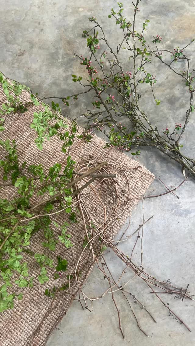 Happy Easter weekend … you might need to bring spring in this weekend as the forecast is a little less than favourable (putting it mildly)… I foraged (stole) some wild cherry blossom and some new beech branches to make an Easter tree- hung up some white goose and little blue eggs, some simple felt rabbits and added some knots of wide ribbon to make easy bows… crush your stems before putting in water to keep your branches happy! I’ll show you a quick way to make a foraged wreath base in the next post….Have a wonderful weekend playing board games and eating delicious food! …May your table be bountiful & beautiful!