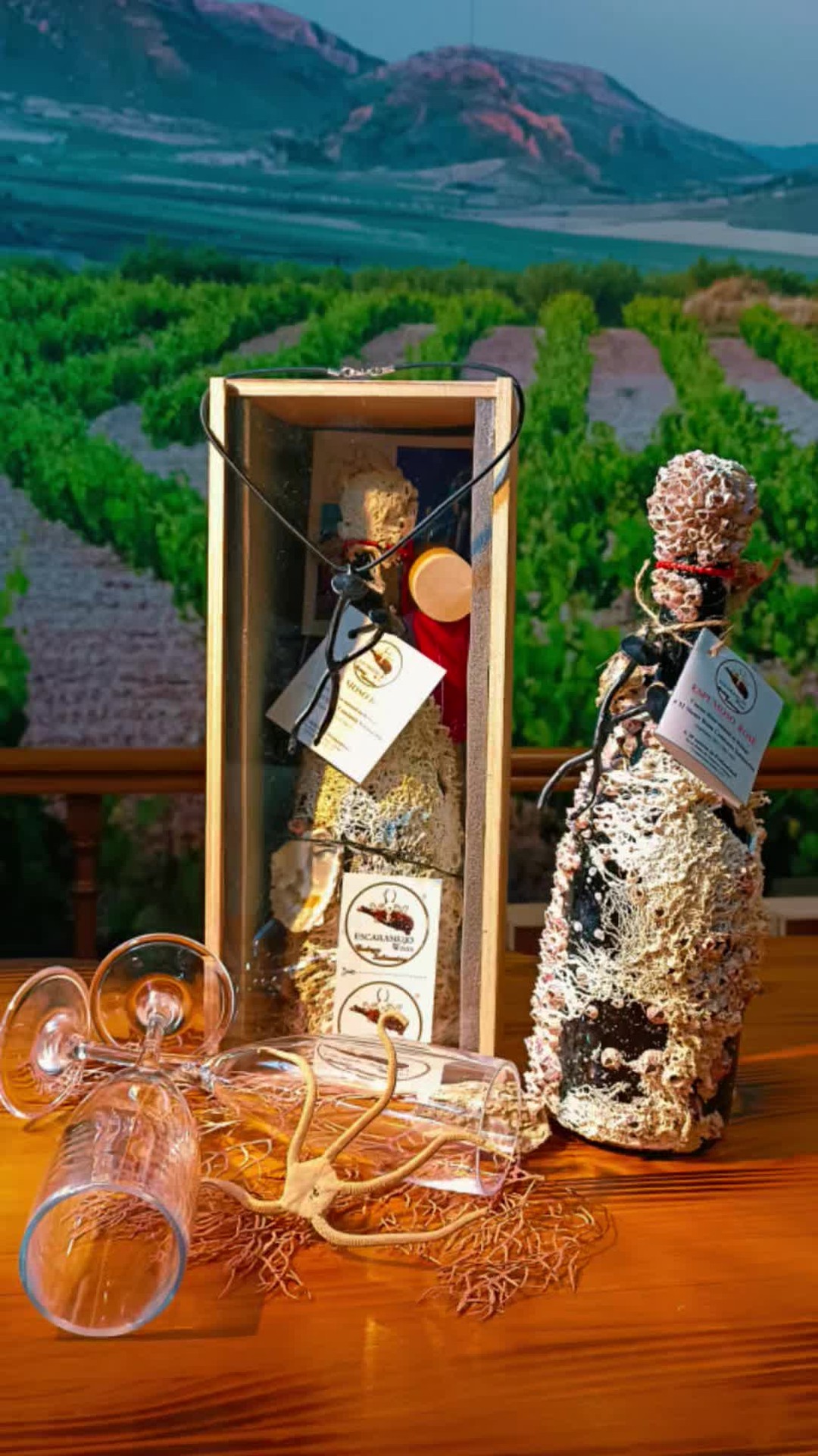 Quieres sorprender a alguien con un regalo único y súper especial??
Do you want to surprise someone with a unique and really special gift??
Escaramujo Wines Bodega Submarina
Escaramujo Wines Underwater Winery
#specialgifts #regalosúnicos #vinosubmarino #underwaterwine
#createmoments