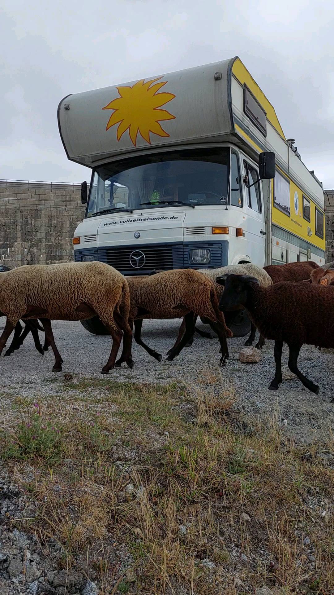 Noch ein Abstecher zu unserem geheiligten Bergsee in Portugal