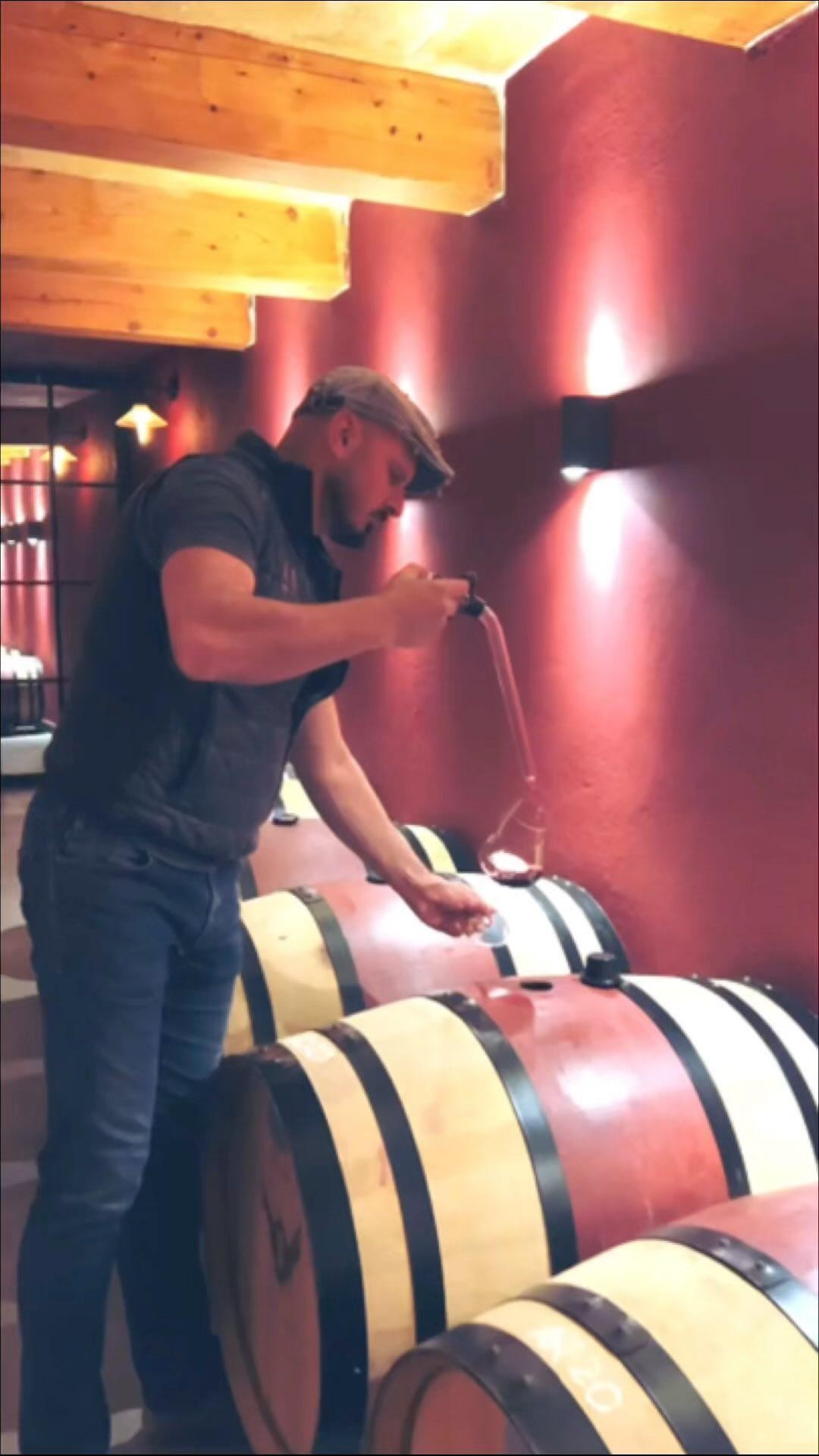 Join us in the serene intimacy of our barrel room, where the delicate art of blending reveals the subtle beauty of our 2023 Adon wine, gently crafted from last year's harvest - experience the magic with us. 🍷✨
#markusdivinus #adon #cellar #barrique #newvintage