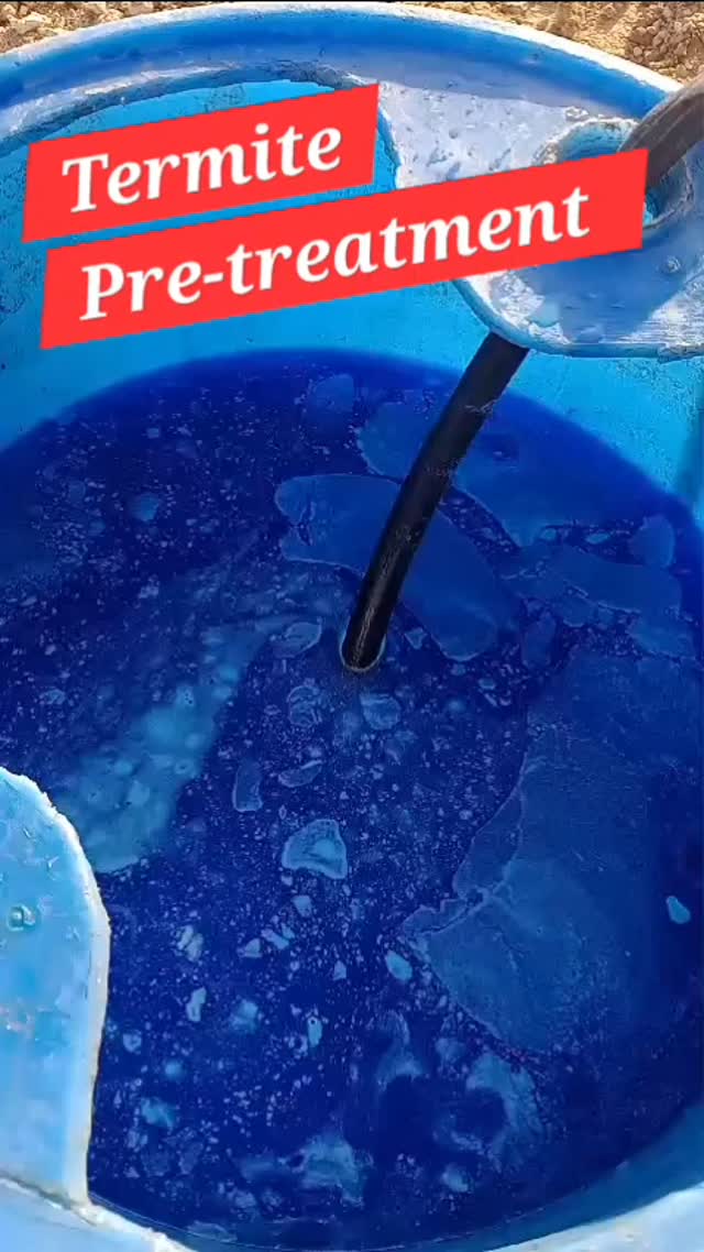 #termitecontrol #barbados #exterminator